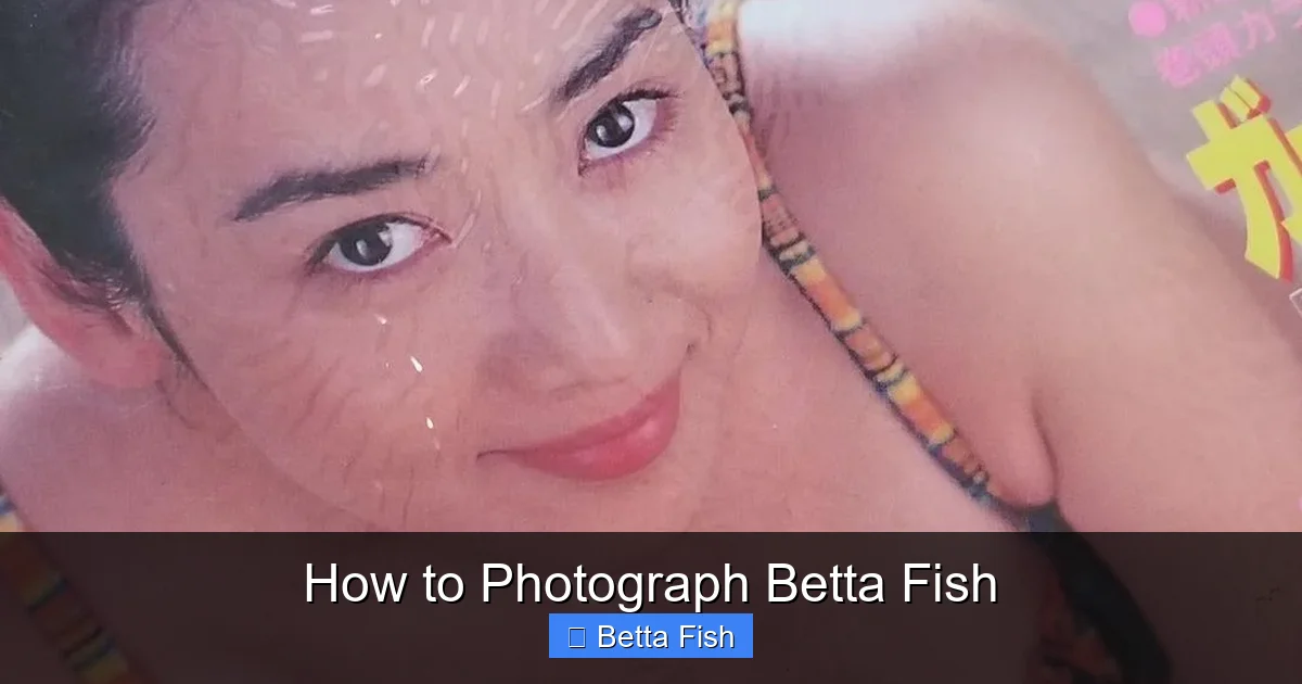 How to Photograph Betta Fish