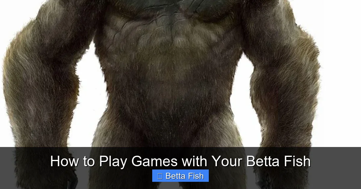 How to Play Games with Your Betta Fish
