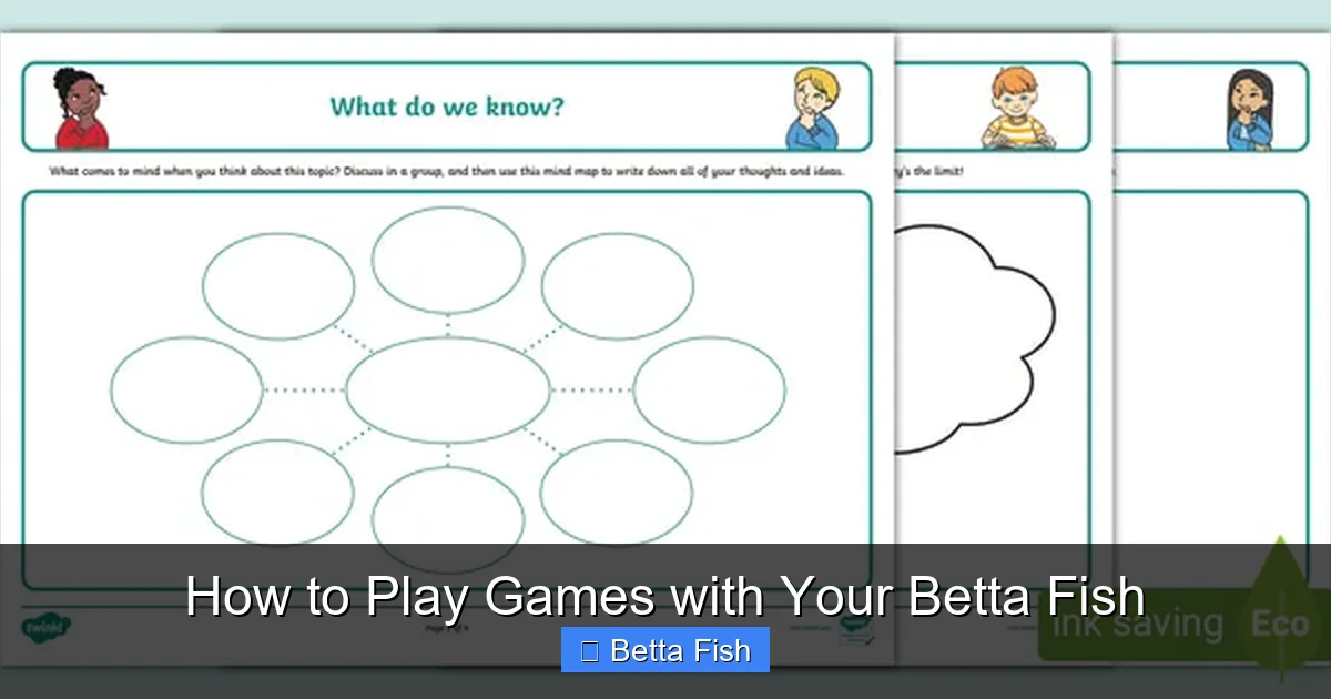 How to Play Games with Your Betta Fish