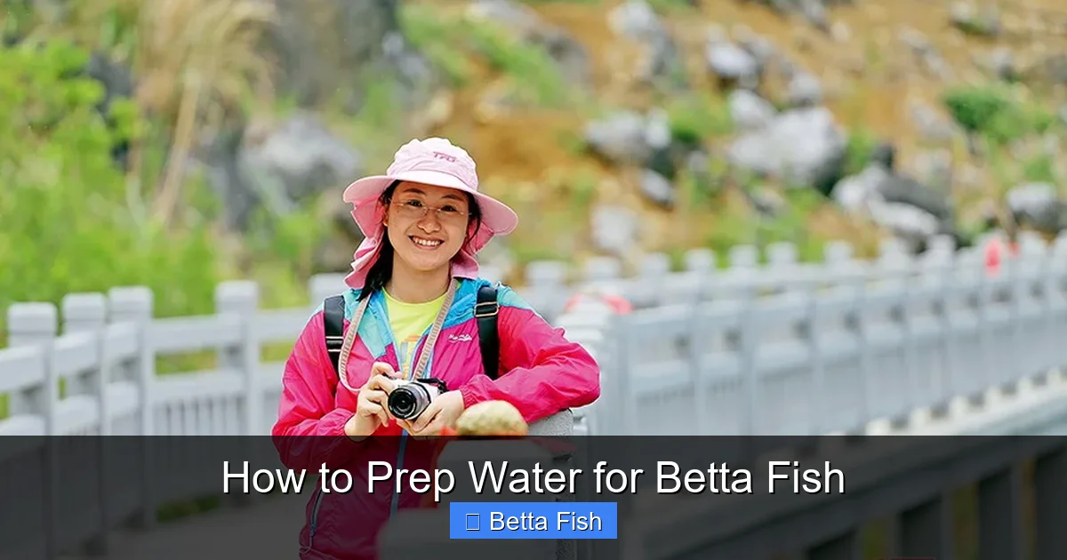 How to Prep Water for Betta Fish