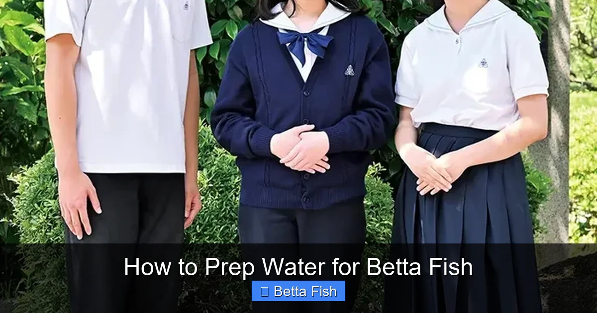 How to Prep Water for Betta Fish