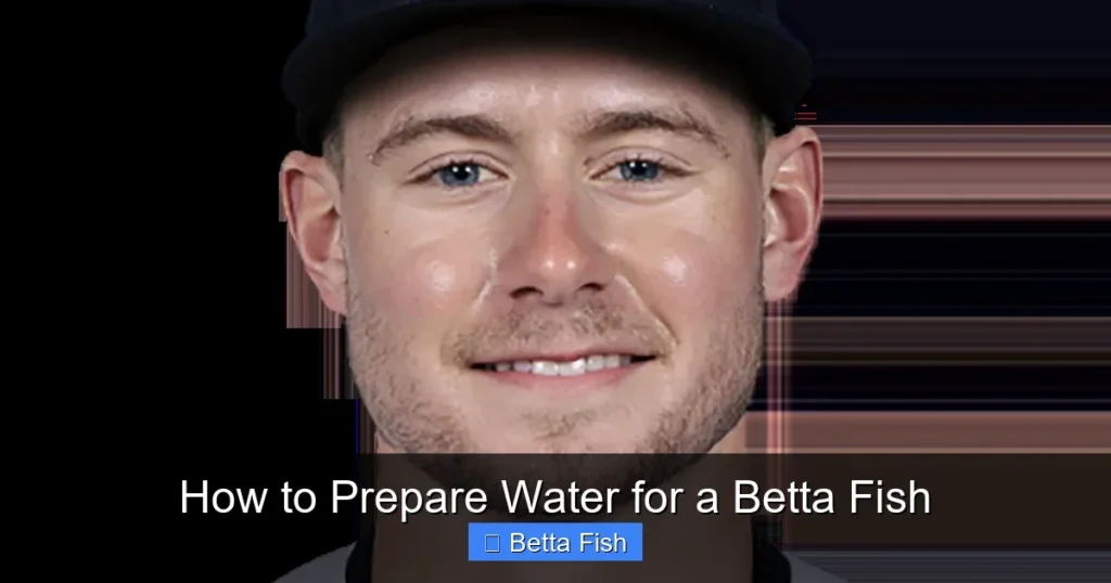 How to Prepare Water for a Betta Fish