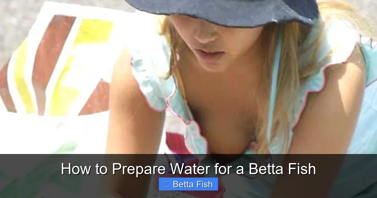 How to Prepare Water for a Betta Fish