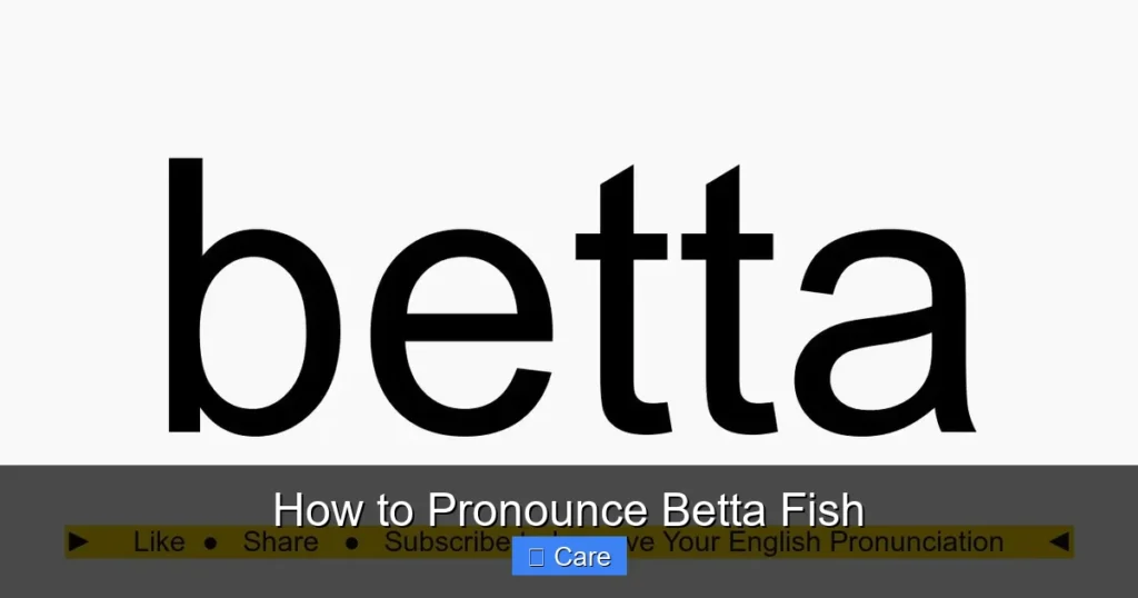 How to Pronounce Betta Fish