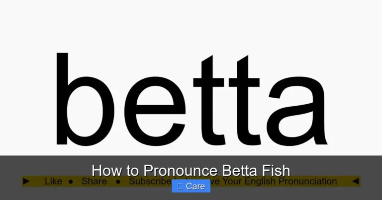 How to Pronounce Betta Fish