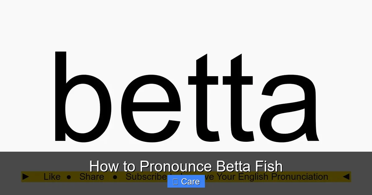 How to Pronounce Betta Fish