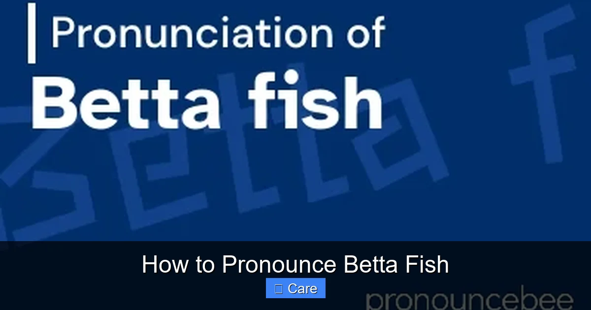 How to Pronounce Betta Fish