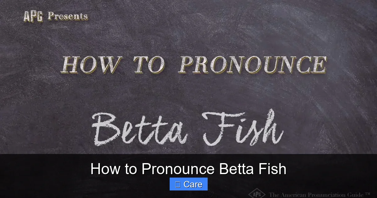 How to Pronounce Betta Fish