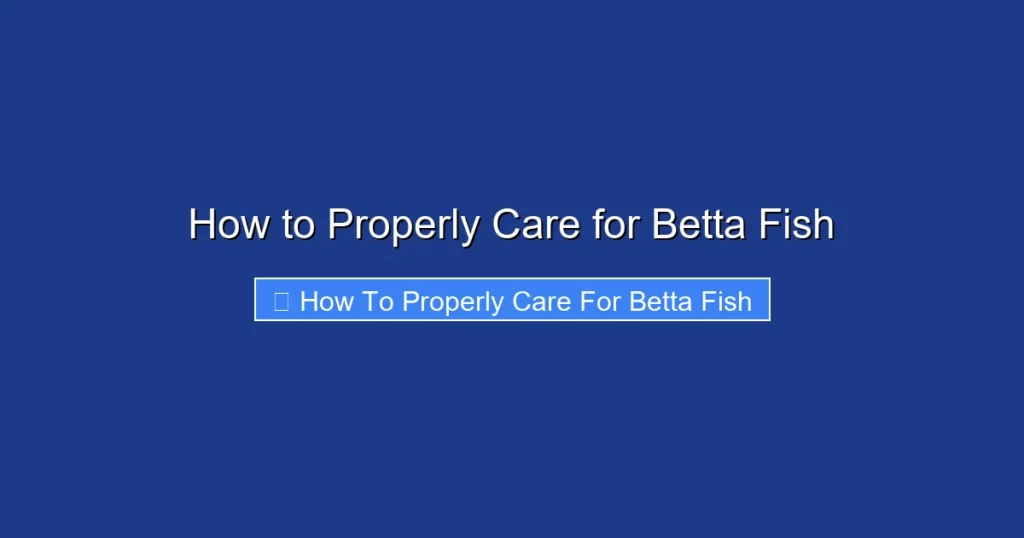 How to Properly Care for Betta Fish