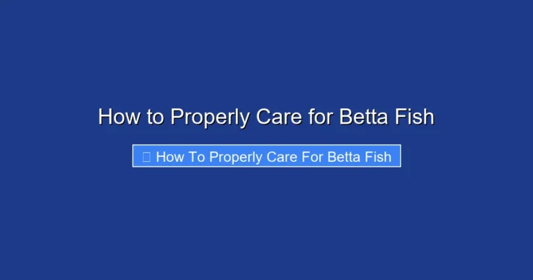 How to Properly Care for Betta Fish
