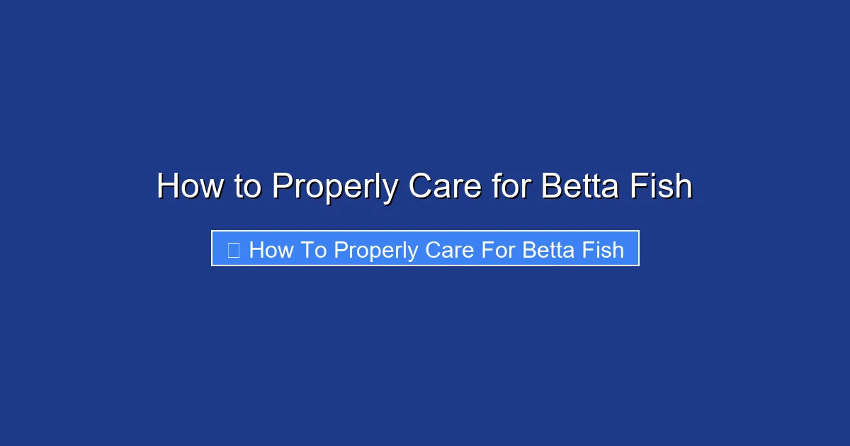 How to Properly Care for Betta Fish