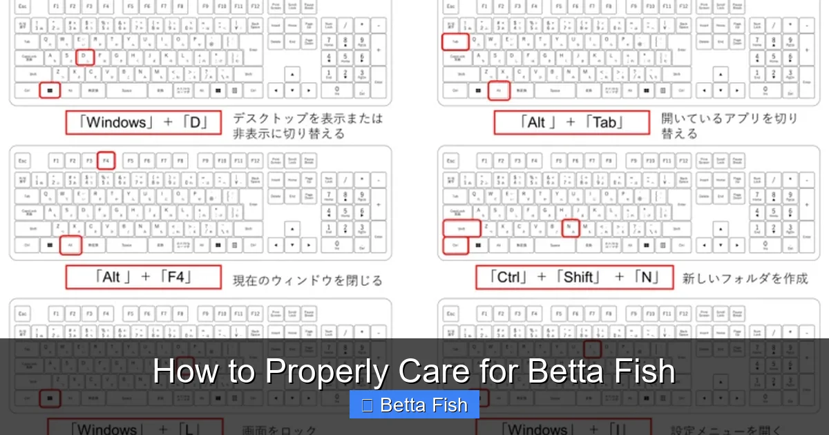 How to Properly Care for Betta Fish