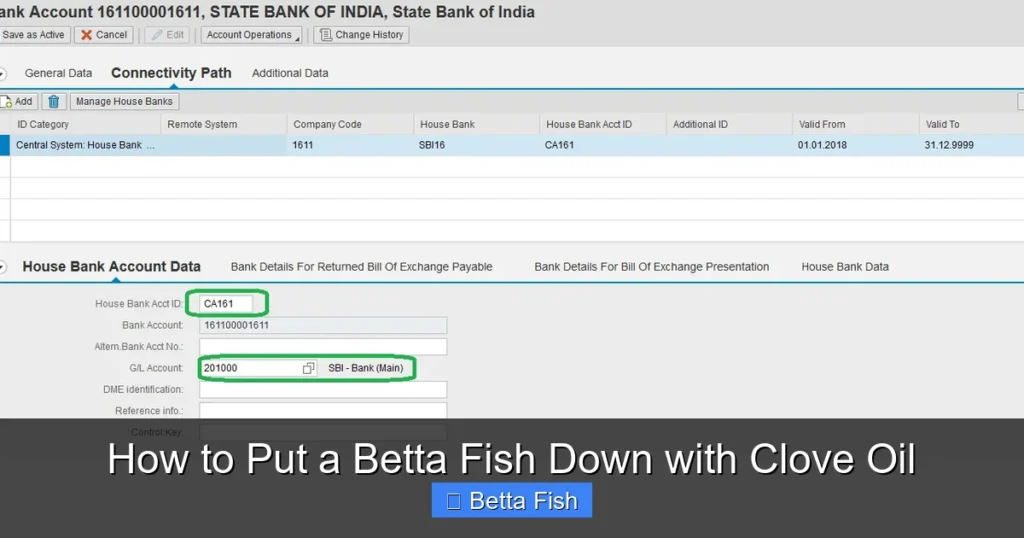 How to Put a Betta Fish Down with Clove Oil