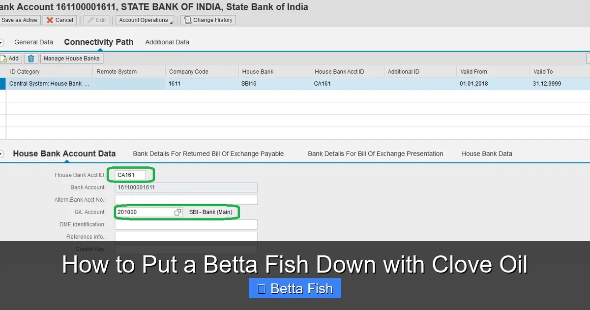 How to Put a Betta Fish Down with Clove Oil