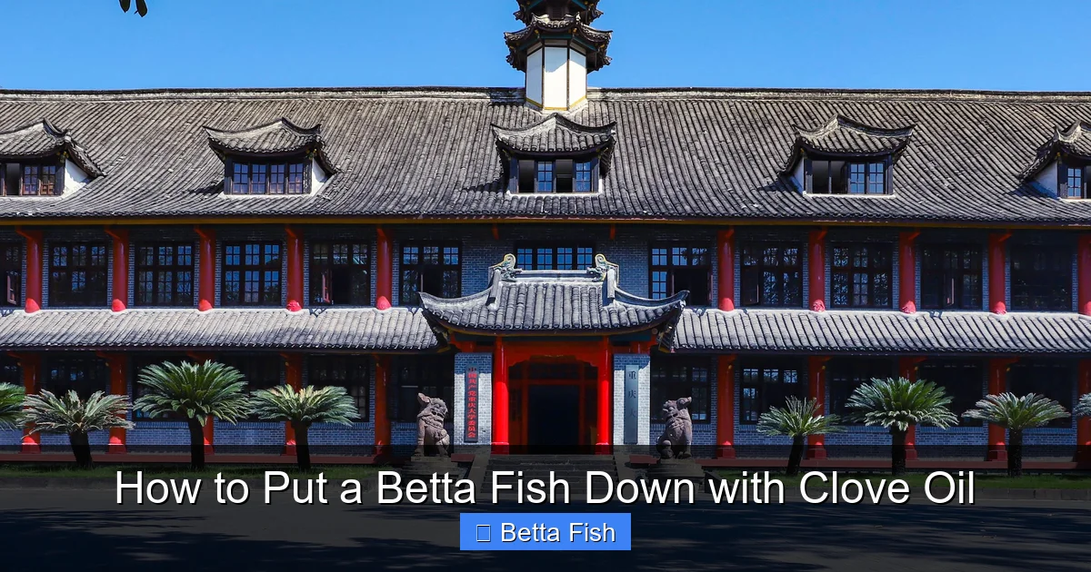 How to Put a Betta Fish Down with Clove Oil