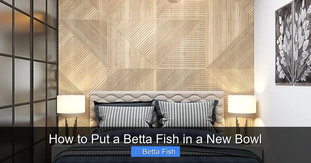 How to Put a Betta Fish in a New Bowl