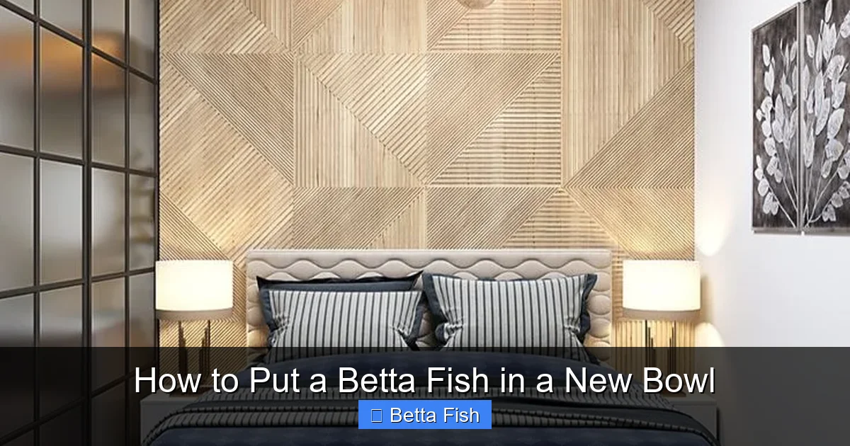How to Put a Betta Fish in a New Bowl