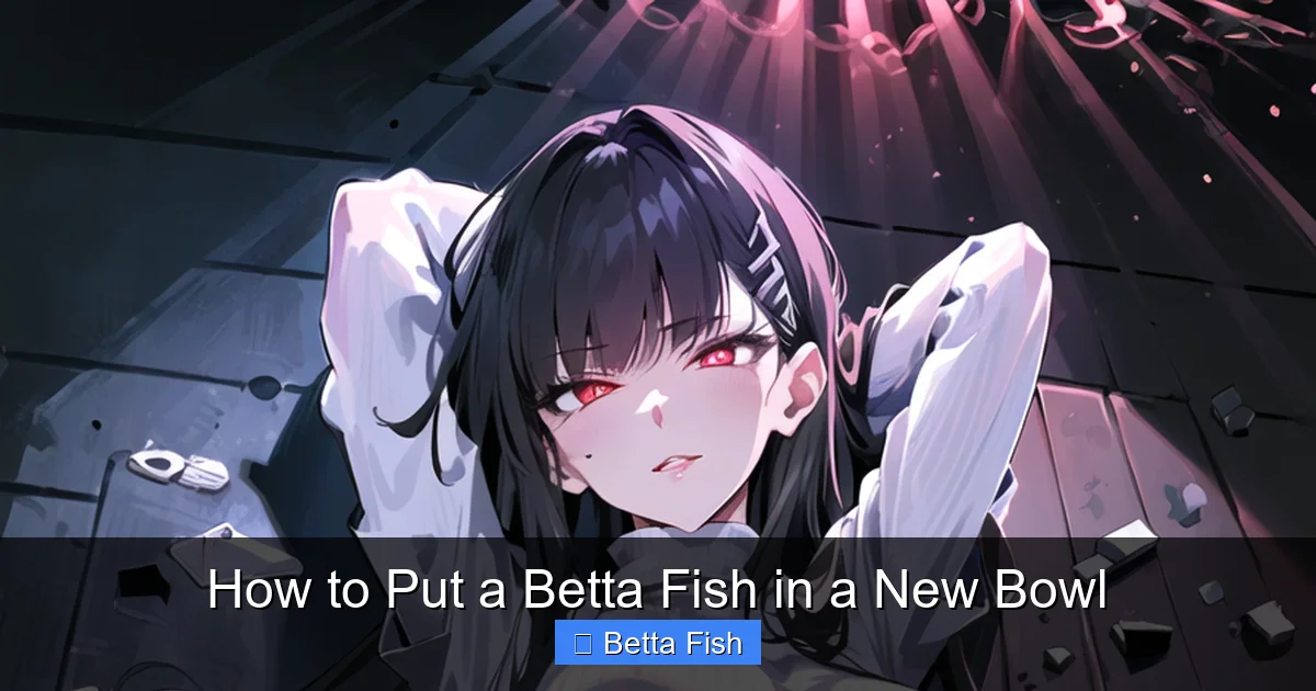How to Put a Betta Fish in a New Bowl