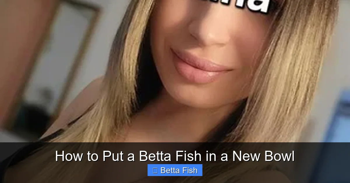 How to Put a Betta Fish in a New Bowl