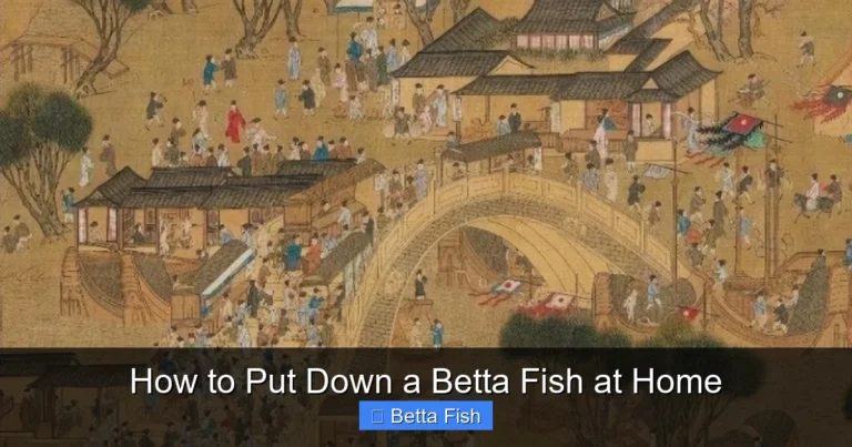 How to Put Down a Betta Fish at Home