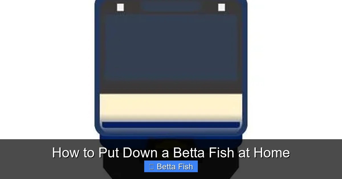 How to Put Down a Betta Fish at Home