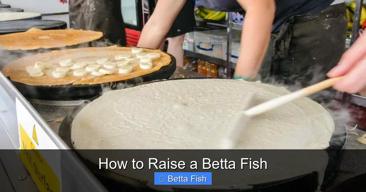 How to Raise a Betta Fish