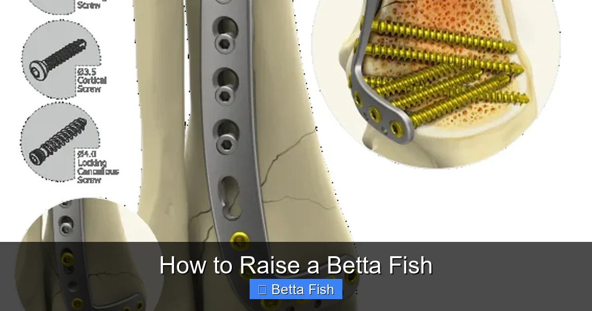 How to Raise a Betta Fish