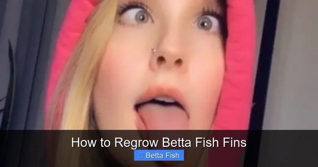 How to Regrow Betta Fish Fins