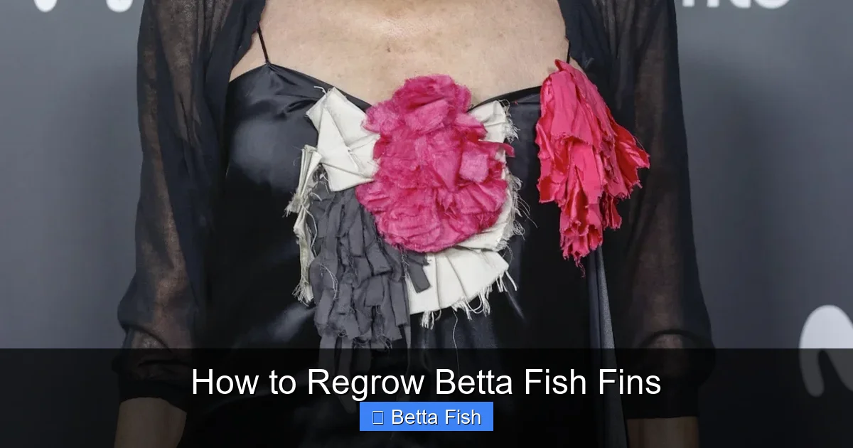 How to Regrow Betta Fish Fins