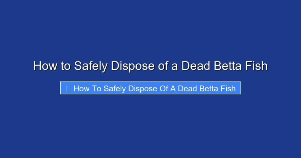 How to Safely Dispose of a Dead Betta Fish