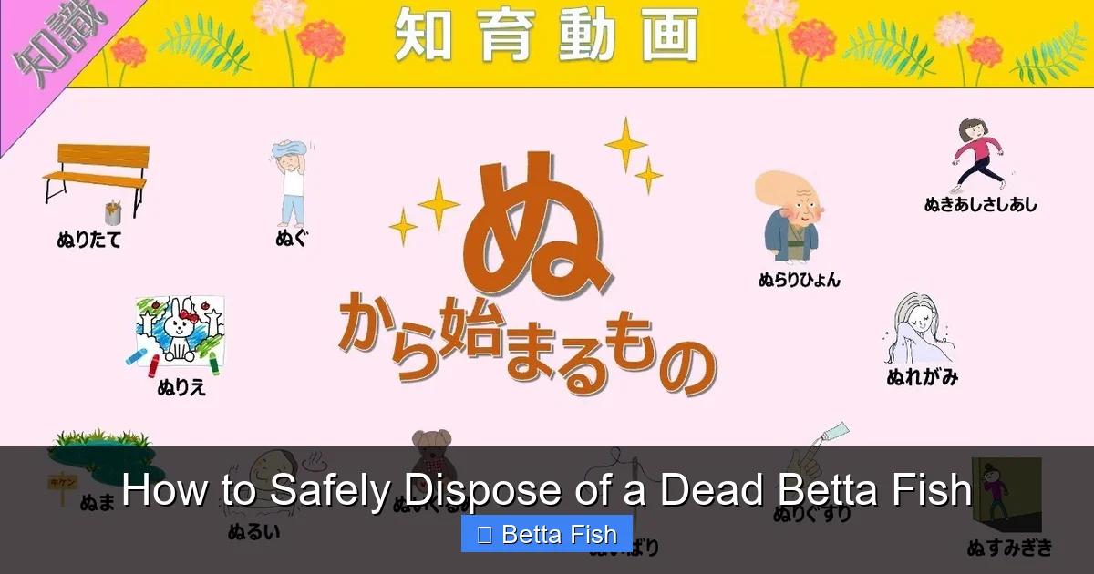 How to Safely Dispose of a Dead Betta Fish