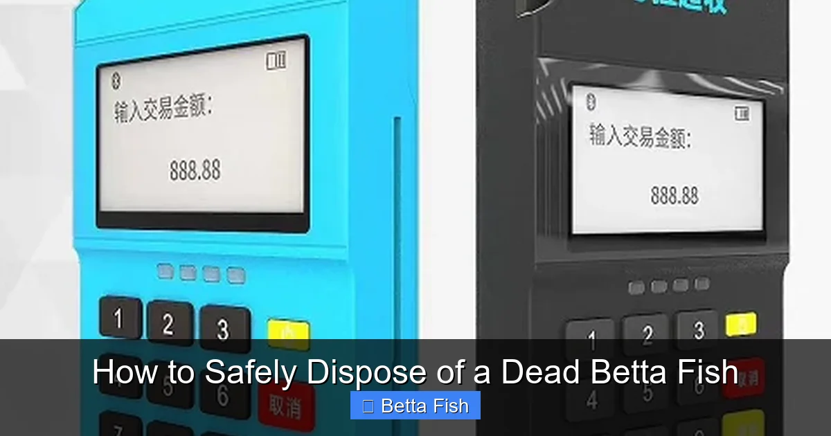 How to Safely Dispose of a Dead Betta Fish