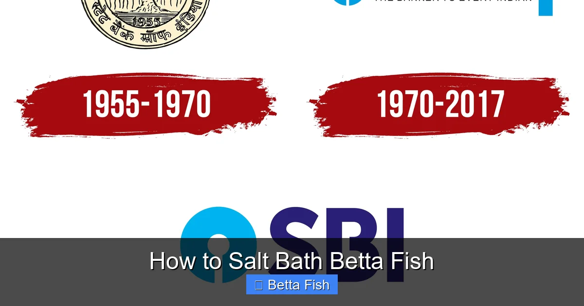 How to Salt Bath Betta Fish