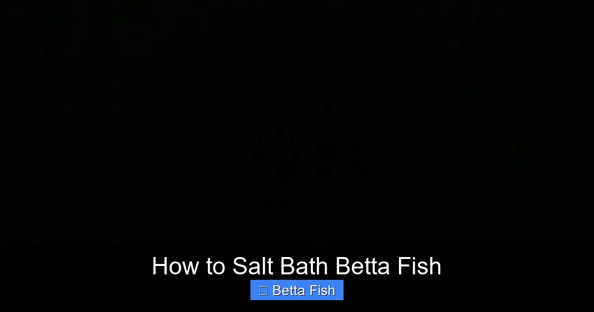How to Salt Bath Betta Fish