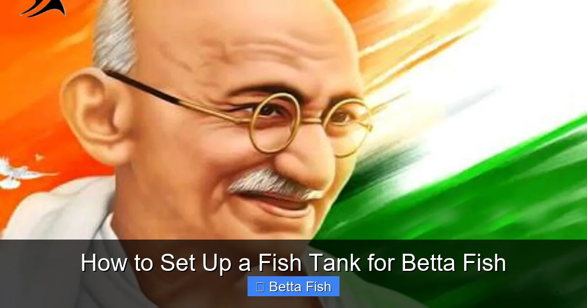 How to Set Up a Fish Tank for Betta Fish