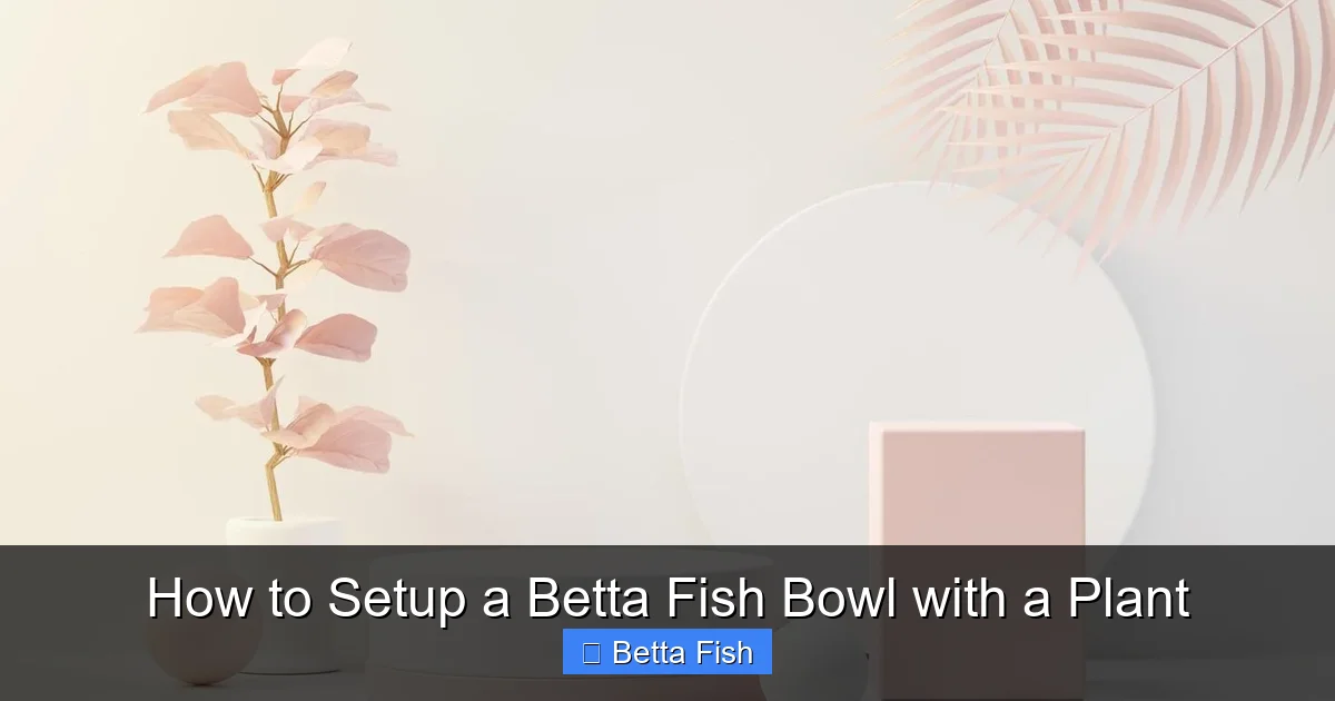 How to Setup a Betta Fish Bowl with a Plant