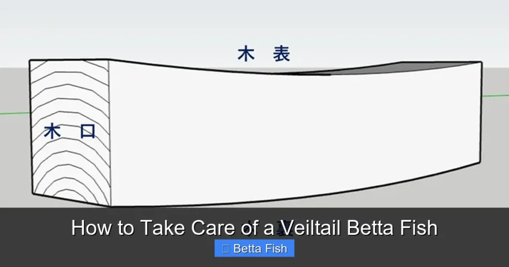 How to Take Care of a Veiltail Betta Fish