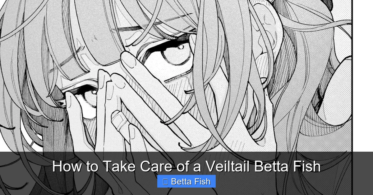How to Take Care of a Veiltail Betta Fish