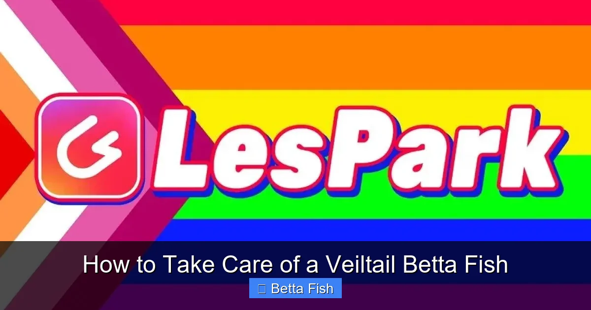 How to Take Care of a Veiltail Betta Fish