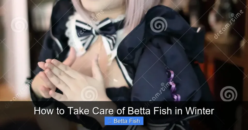 How to Take Care of Betta Fish in Winter