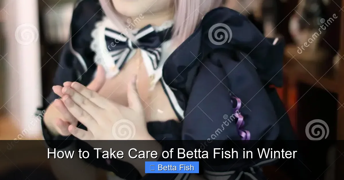 How to Take Care of Betta Fish in Winter