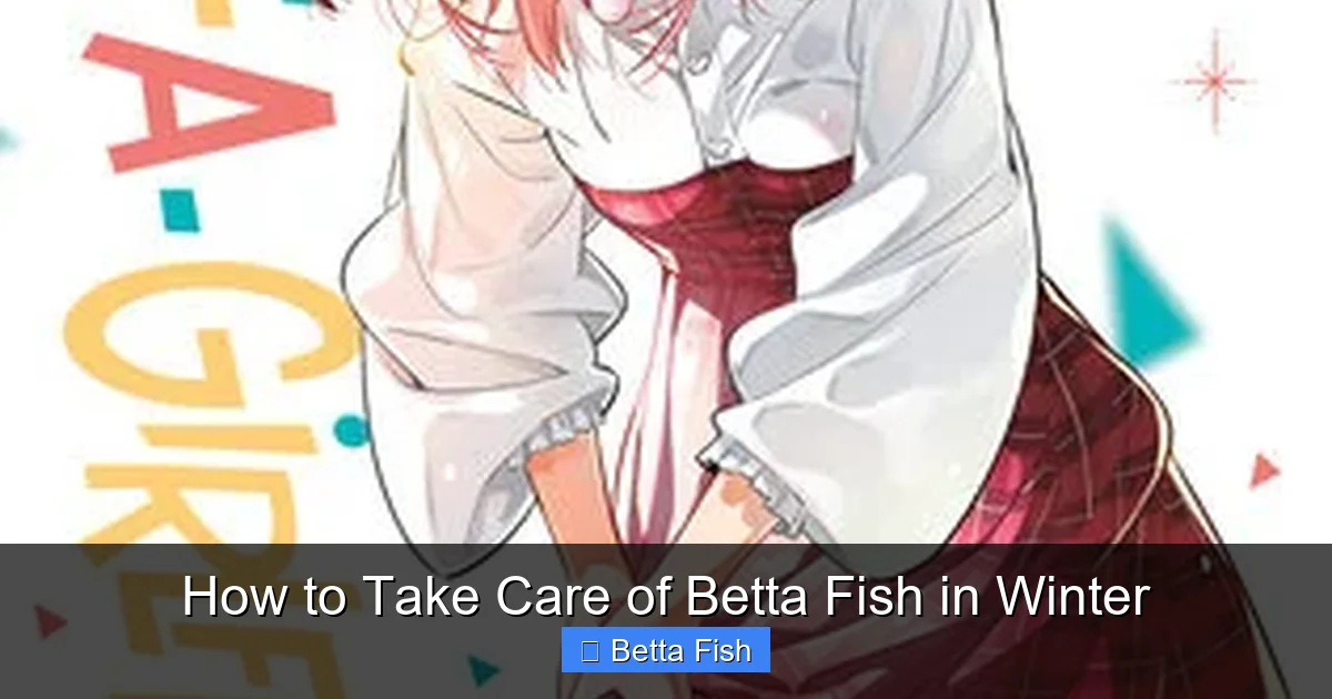 How to Take Care of Betta Fish in Winter
