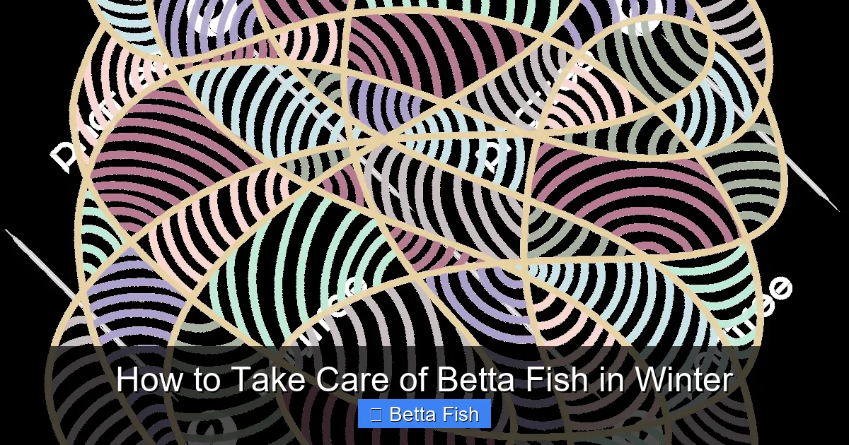 How to Take Care of Betta Fish in Winter