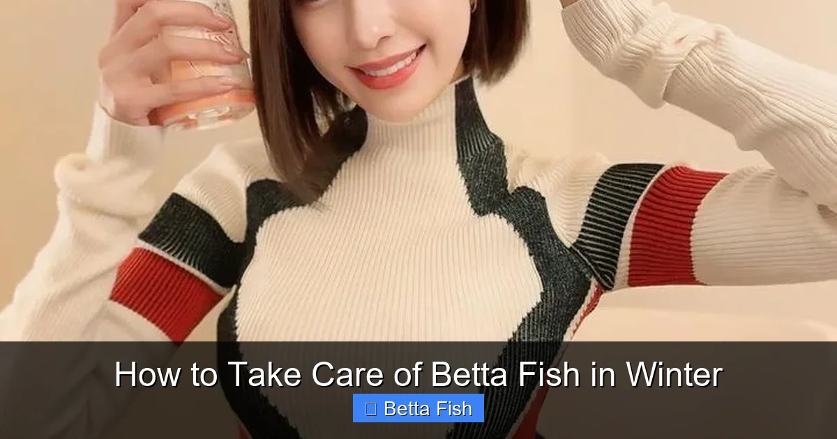 How to Take Care of Betta Fish in Winter