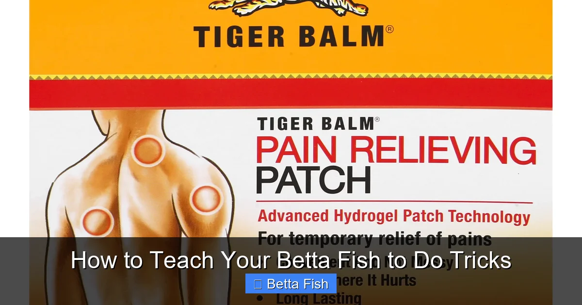 How to Teach Your Betta Fish to Do Tricks