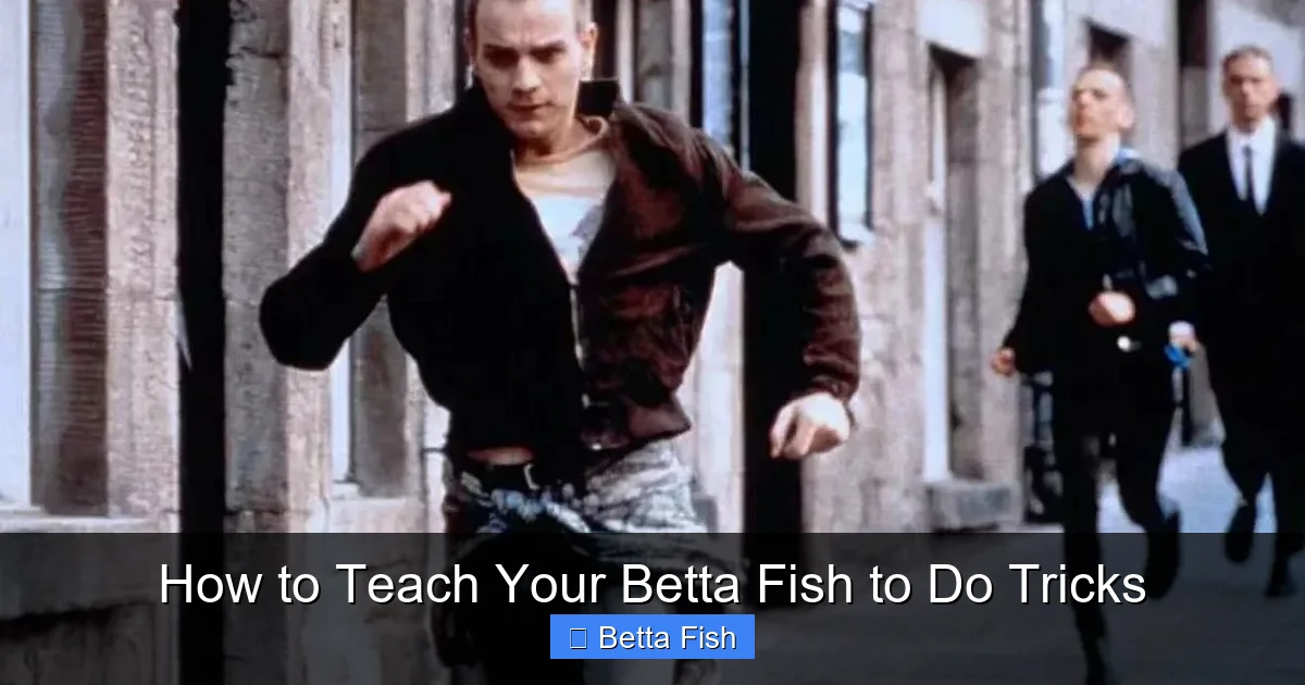 How to Teach Your Betta Fish to Do Tricks