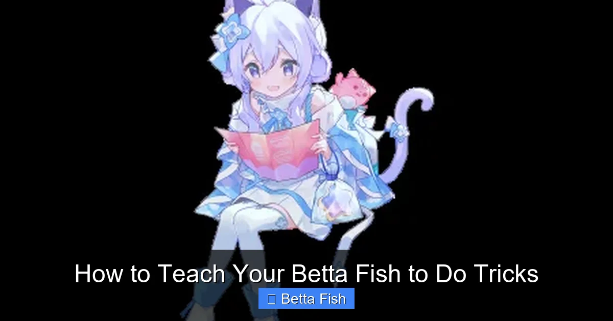 How to Teach Your Betta Fish to Do Tricks