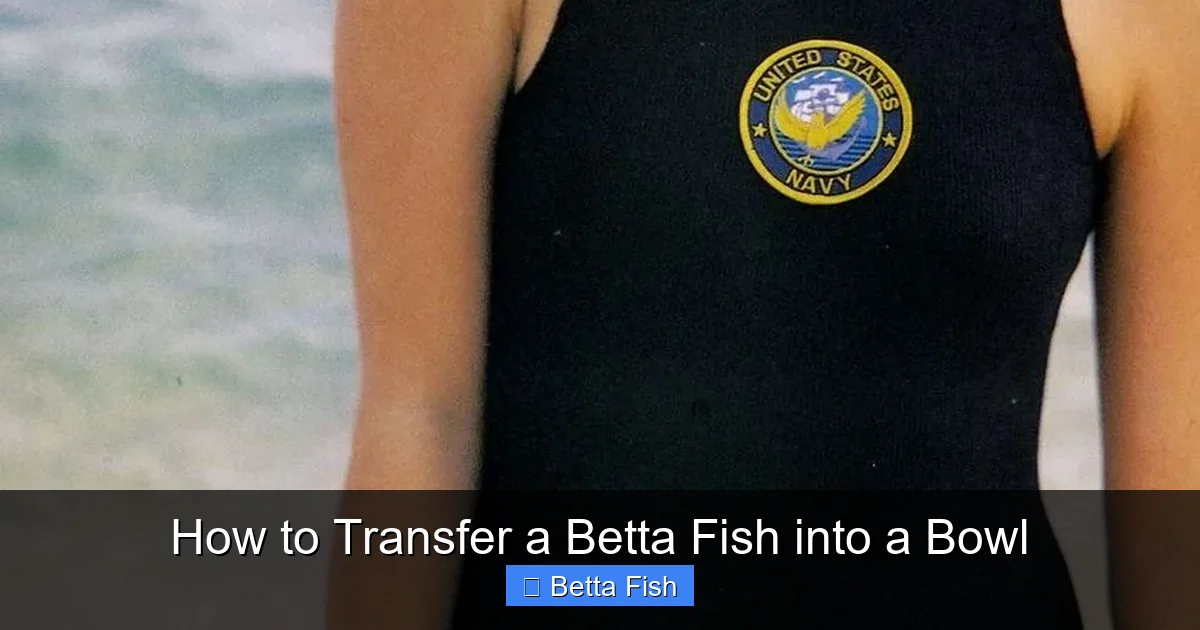 How to Transfer a Betta Fish into a Bowl
