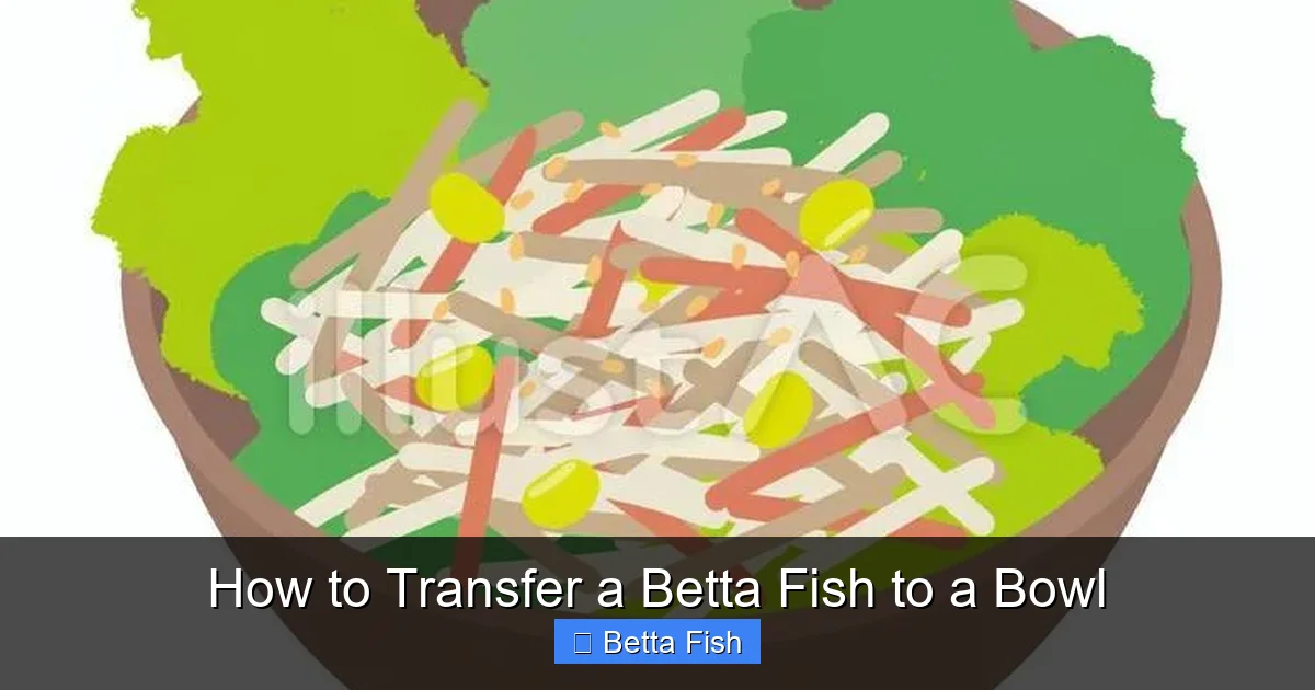 How to Transfer a Betta Fish to a Bowl