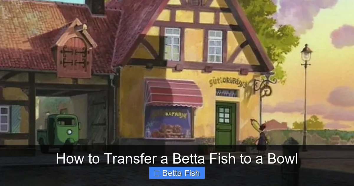 How to Transfer a Betta Fish to a Bowl